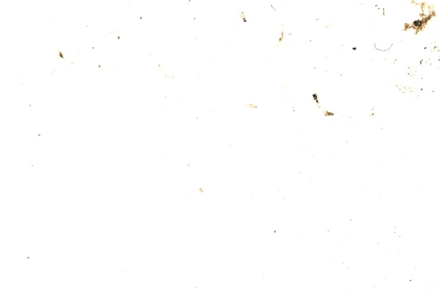 Image 219